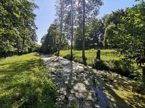 Near Longny, out of the village, beautiful leisure ground full of charm lined with trees, more than 5,000 m2 with small bodies of water. No EDF connection, no water meter. RARE! A MUST SEE!