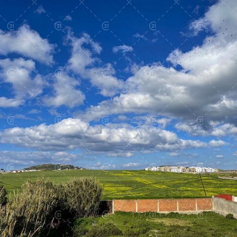 Pour ceux qui aiment la nature, le calme, la tranquillité et le silence, century21 Tanger vous propose cette Maison à la vente située à boukhalef qui répond exactement aux critères cités auparavant, la maison est d’une superficie de 339m2 repartie su...