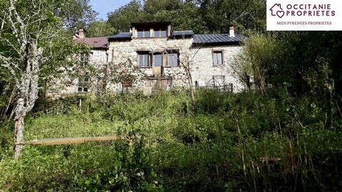 Hidden in the mountains between Boussenac and Massat, you will find this large stone house of approx. 165m2 with 1ha of south facing land. The house can only be reached on foot or by quad bike. A trail along the creek leads you to the house after a 2...