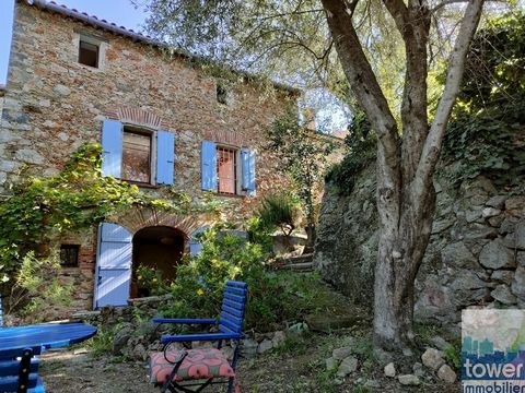 Nestled in the heart of the balcony of Les Aspres, in the municipality of Llauro, this three-sided village house in cayroux is a real haven of peace. Renovated by an artist, it is a source of inspiration and serenity. Its exterior allows you to compo...