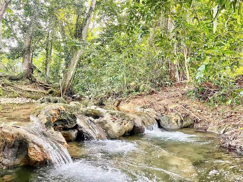 Out of the tourist zone with the possibility to live self-sufficiently – here is the opportunity for you! LOCATION This beautiful piece of land is located on the edge of the El Choco National Park, directly on the river, nestled between hills with fr...