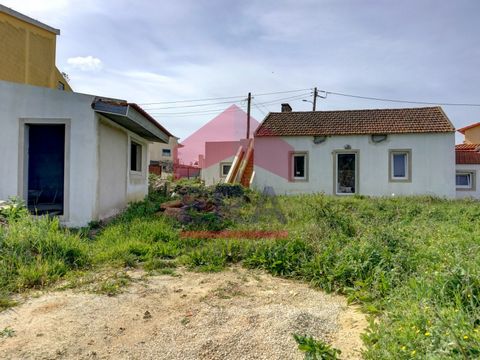 Two new, single-story, detached houses on a 547m2 plot. A T1+1 house, comprising kitchen, living room, bathroom, suite and closet, with the possibility of having a bedroom/office on the mezzanine. The other house is a T0 where we find a kitchenette, ...