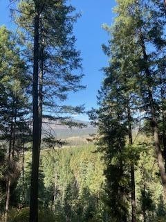 LOCATION, PRIVACY, VIEWS, ELECTRIC AND WATER connected on property! HOA covers water and road work. Wooded, serene with room to build in one the most desirable neighborhoods in the Jemez Mountains. The lovely Sierra Los Pinos community in between Jem...