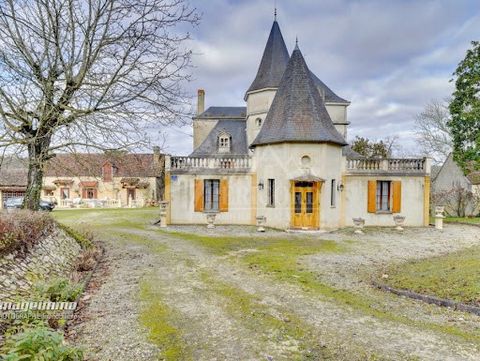 16th century chateau with 420 m2 of living space including guest house, caretaker's cottage, various outbuildings, swimming pool with views. Swimming pool 12x6 . You will also find a perennial spring, a cluzeau (underground refuge) and a grotto.et cl...