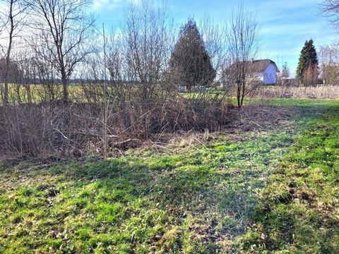 A few kilometres from Porrentruy, we offer you a plot of 1318 m2 for sale. Suarce is located in: 13 minutes from Delle, 30 minutes from Belfort, 25 minutes from Porrentruy, 45 minutes from Delémont, 50 minutes from Basel,