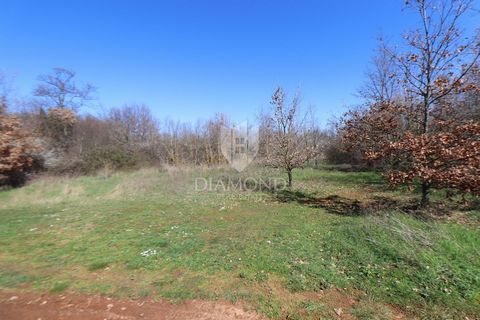 Location: Istarska županija, Marčana, Loborika. Loborika, spacious building land We are selling an attractive land with a total area of 2796 m2, of which the construction part is 1200 m2, while the agricultural part is 1596 m2. The land has a regular...