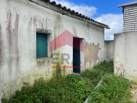 Single storey house to be restored, set in a 351m2 plot. Patio and storage. Located in a quiet village, about 10 minutes from the town of Bombarral and access to the A8, about 12 minutes from the town of Lourinhã and 15 minutes from the beaches. For ...