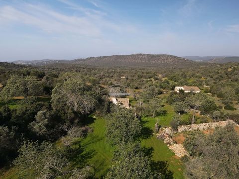 Located in Loulé. This ruin with land for sale is in a rural area with good access and is close to Boliqueime, a charming village in the hills. The property offers country views, a quiet location, and the possibility to build your dream home with up ...