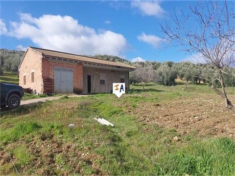 This rural level plot of 9,631m2 with a 2 bedroom 161m2 build Chalet style detached property is located near the beautiful and tranquil town of Campotejar in the Granada province of Andalucia, Spain, close to the historical and beautiful cities of Gr...