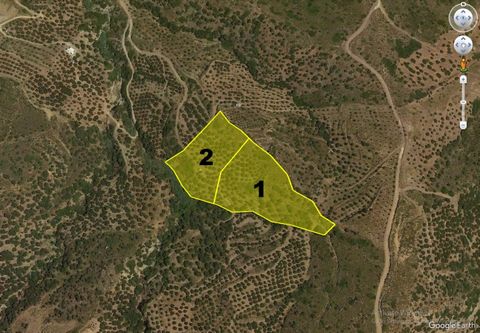 Located in Sitia. Two adjacent seaview building plots, nicely positioned on the slope of a hill, east of Agia Fotia, Sitia, North-East Crete. From their elevated position, the plots enjoy nice unobstructed views of the sea, the hills and the town of ...