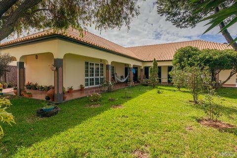 Located in Ribeira Brava. 3 bedroom villa, with large garden area and agricultural land, at an elevation of 180 meters above sea level, with a fabulous sea view and mountain views. With 3 bedrooms, one of them en suite, with very large areas, a very ...