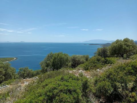 Located in Kastos. This large plot is located in the central part of Kastos island with panoramic views up and down the South-East coast of the island in addition it also has easy access to the beach and sea. Total area size – 113,480 M2 – 3 individu...