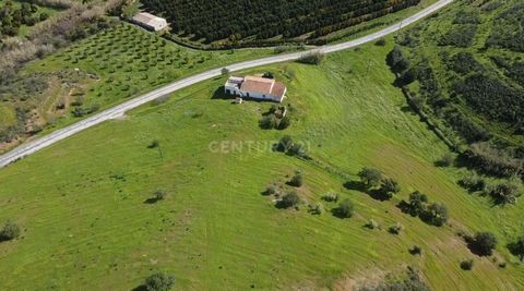 Excellent fifth for rural tourism investment, with a vast plot of land totaling 87,640m2, comprised of olive trees, fig trees, carob trees, orange trees, lemon trees, and a construction area of 206m2, with the possibility of expansion project. There ...