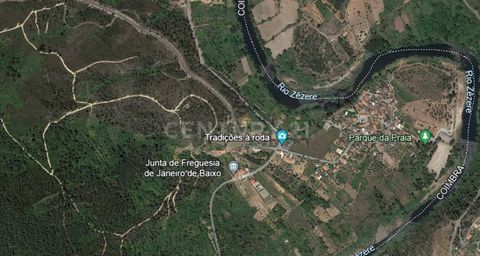 Rustic land in Vergadinhas composed of pine forest and bush with a total area of 4500 m2. In the parish of Janeiro de Baixo, let yourself be enchanted by the history and hospitality of its people, choosing the secular Zêzere River as a companion on t...