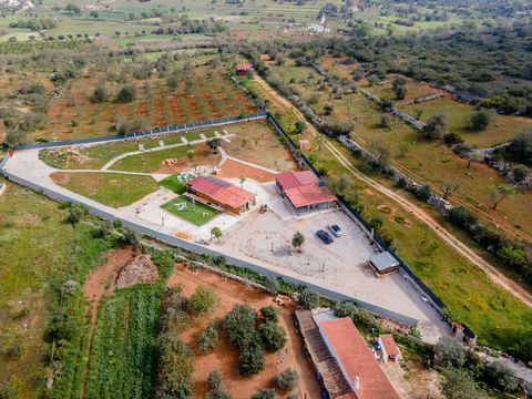 Rustic land of 5600m2 with New Farm, located in a quiet area in Paderne. The farm consists of 2 buildings: - The first is the main house with 2 bedrooms, living room, fully equipped kitchen, 1 bathroom and terrace. - The second is the annex consistin...