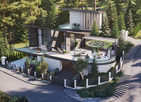 Located in Limassol. The project consists of 6 luxury two storey villas located in Pano Platres in Limassol. Situated in a very quiet area with the marvellous views of the mountains, forest and villages. All necessary facilities and amenities shops, ...