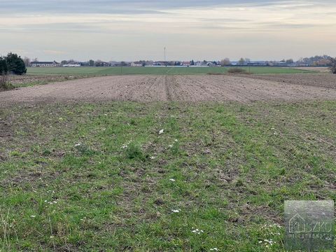 Habitat / homestead plot for sale in Krzyszkowice, Piątek commune, Łódź province. Area 3000 sqm (width 25.5 m, length 119 m). The distance from Piątek is 1.5 km, asphalt access via road 702. The following development conditions have been issued for t...