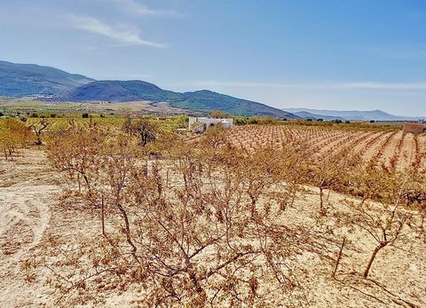 Welcome to this hidden gem in Laujar de Andarax! This recreational estate of 5616 square meters combines natural beauty with productivity, being an exceptional corner that houses 166 early almond almond trees in full production. The 5616 square meter...