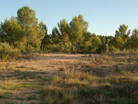 Groot perceel met een project voor twee woningen doordat de grond gesplitst kan worden in twee bouwkavels perceel nummer 1 heeft 27500 m2 en perceel nummer 2 37000 m2 bij elkaar opgeteld 64000 m2 is het mogelijk om slechts één perceel te gebruiken Ge...