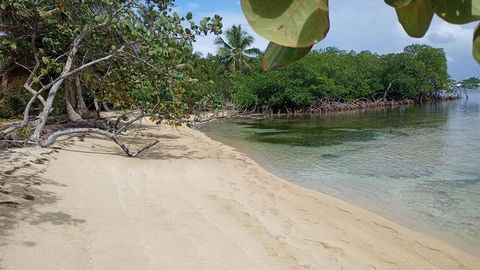 Jungfräuliches Land, am weißen Sandstrand und zwischen Flüssen, Maglares und vielen natürlichen Bächen, die es zu bewahren gilt. Ideal für umweltbewusste Projekte und für nachhaltigen Tourismus. 2,5 km von anderen Resorts in Portillo und El Limón ent...