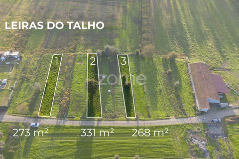 Identificação do imóvel: ZMPT570601 São 3 terrenos inseridos em zona agrícola, com geometria próxima de um rectângulo, com comprimentos entre os 50 e 55 m, e larguras entre 5 e 6 m. Localiza-se entre os aglomerados de Devesa, Casconha e Portela, a ce...