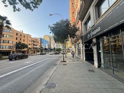 Varios despachos (entre 8-15 m2 el precio varia de despachos con ventana a calle principal) en alquiler en una oficina de 260 m2 en AVENIDA COMTE DE SALLENT. Se alquila 2/3 despachos por separado, cada uno por 300€/mes con todos gastos incluidos (bas...