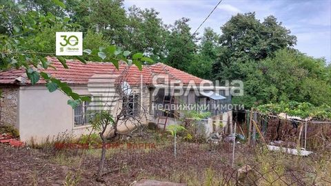 Yavlena Agency offers a one-storey house in the center of the village of Osenovo with a large yard. The plot is flat rectangular with an area of 1700sq.m., arable. 100m from the main road and the center. There are lots for electricity and water. The ...