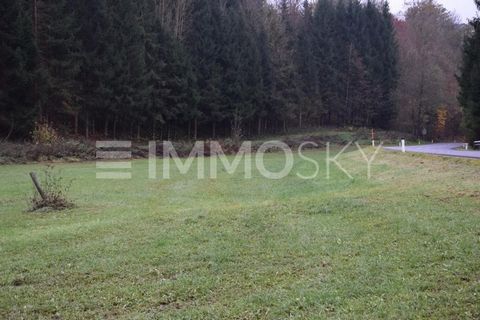 Perfect plot for your new business or expansion The flat property is located in the rapidly expanding Linz Nord Urfahr area, in Gramastetten and offers a prime location for a wide range of commercial activities. - Spacious, level plot with enough spa...