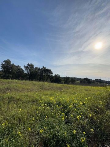 Singular quinta localizada junto à Circular Externa do Montijo frente à Cova da Loba e a apenas a 1 km das portas da cidade e do Alegro Montijo. A propriedade conta com 600 m2 de construção urbana, destinada a armazéns e atividades industriais. As co...