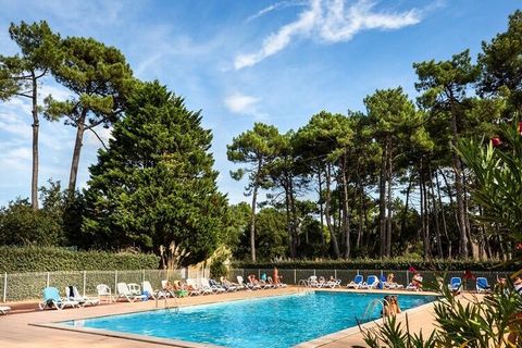 On the edge of the Marine Lake of Port d'Albret, the SOWELL Family Pignada Plage*** is the ideal establishment for discovering the Landes and enjoying a family vacation by the ocean at Soustons Plage. Just 600 meters from the ocean and ideally locate...