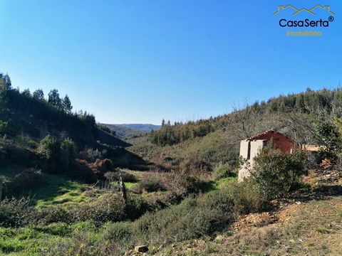 Fertile land of flat typology, arranged by terraces, with a good area. A few minutes from the village of Sertã, and with access via a beaten road, it is a land with a beautiful sun exposure and also has the great advantage of bordering a stream. It h...