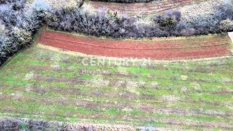 Vende-se uma combinação de terreno para construção de 1200 m2 e terreno agrícola de 1806 m2 em final de urbanização. Está localizado num povoado tranquilo perto de Mekiši by Vižinada, ideal para quem procura uma oportunidade acessível, pois é ideal p...