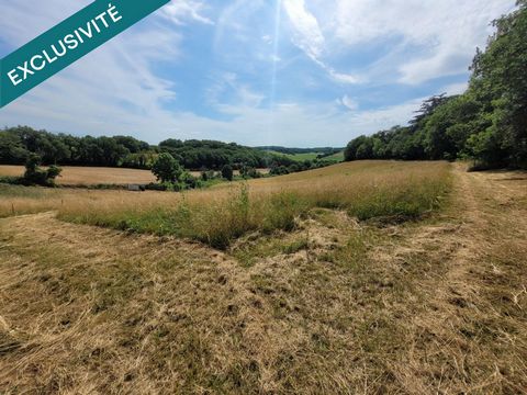 En exclusivité Safti A 5 min en voiture de tous commerces , écoles et maison médicale , ce Terrain de 2500 m2 au calme sans route passante, il offre une superbe vue dominante sur la campagne et les collines gersoises. Il est borné et possède son comp...