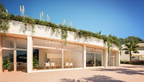 Villas Jumelées Luxueuses Dans Une Résidence à Alicante Costa Blanca Ces villas sont situées dans la banlieue de la ville d'Alicante. Cette région appartient à la région de la Costa Blanca, une région célèbre pour son climat méditerranéen favorable, ...