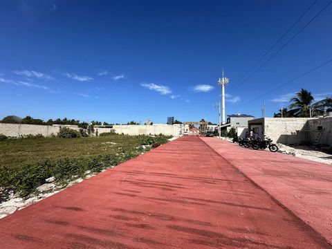 Este terreno de 200 m2 ubicado en una privada a solo unos pasos del mar y del centro de Chelem son la oportunidad perfecta para construir la casa de tus suenos o hacer una inversion inteligente. Caracteristicas del Terreno 200 m2 ideal para construir...