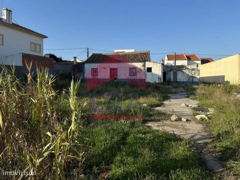 Terreno em Ferrel - Peniche. Área total de 5.928m2. Com viabilidade para construção de moradias. Excelente localização. A 850 metros da praia do Baleal. Excelentes acessos ao IP6 e à A8. A uma hora de Lisboa. *As informações disponibilizadas são de c...