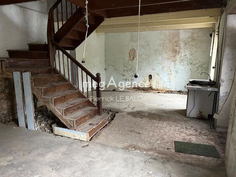 photo no. 3