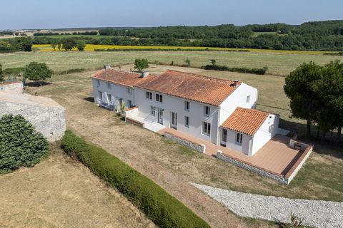 Maison ancienne et gîte, rénovée, 7467 m² terrain