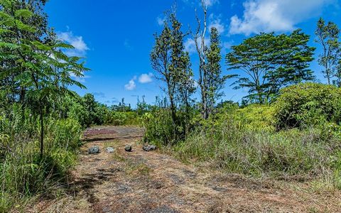 Great opportunity to own a one acre lot in one of Hawaiis fastest growing neighborhoods!This property sits on a quiet stretch of 9th avenue. 3 bedrooms 2 baths house plan is permitted. Septic system is installed and approved. Located 20 to 30 minutes...