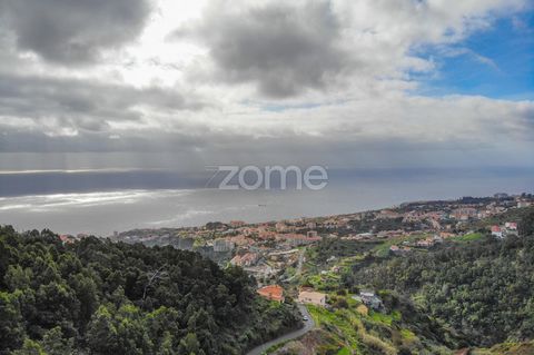 Property ID: ZMPT551901 Land with 7480 m2, located in Caniço, site of the Castle, with good sun exposure, overlooking the city and sea. This land has entrance to car, quiet area, with tranquility and privacy. Don't miss this opportunity. Contact us. ...