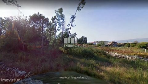 Sale of Land with 4817m², Mazarefes, Viana do Castelo. Forest land with 4817m², of which 336m² is intended for construction. Ref. VCC13320 FEATURES: Land Area: 4 481 m2 Area: 4 817 m2 Used Area: 336 m2 Construction Area: 336 m2 Energy Efficiency: Exe...