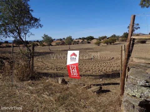 Land with a total area of 11250m2, composed of arable culture, an agricultural support shed. Situated 2 km from Alcafozes. Hits on dirt.