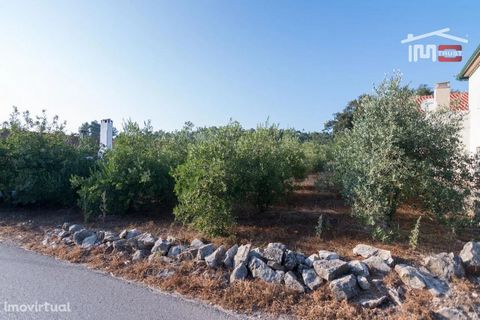 Rustico Land with an area of 1240 m2 next to the main road composed of olive grove and well with two road fronts, excellent location in Bouceiros. Alqueidão da Serra, Port of Mos Leiria.