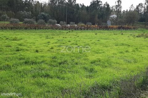 Property ID: ZMPT544381 Land with communication of urban viability Located 5 Km from Soure Great investment. Talk to me, come and meet!!! I always have you looking for a home 3 reasons to buy with Zome: + Follow-up With a unique preparation and exper...