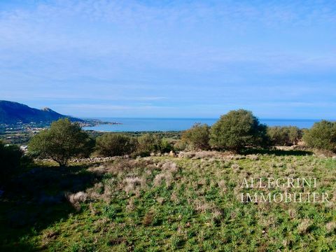 Very nice land located in Corbara (sector of mulch) in a quiet and preserved environment. At the end of a dead end, this land is nestled in the heart of the maquis, it does not suffer from any vis-à-vis or any noise nuisance. A real little piece of p...