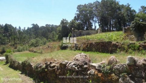 House for restoration, inserted in a plot of 4,000 m2, for sale. Located in Gondifelos, good access, 10 minutes from the city of Vila Nova de Famalicão. Ref.: PV04689 ENTREPORTAS Founded in 2004, the ENTREPORTAS group with more than 15 years, is a le...