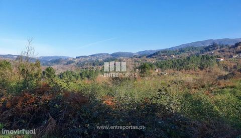 Land for sale with 110 m2 of area, 5 minutes from the Ovelha River, in a quiet place and with good access. Great sun exposure. Sheep's Floodplain and Relieved, Marco de Canaveses. Ref.: MC08866 FEATURES: Land Area: 110 m2 Area: 110 m2 Used Area: 110 ...