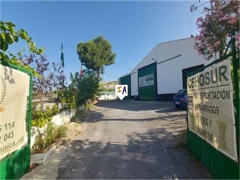 This spacious 1,649m2 build warehouse and distribution centre is situated close to the village of Puerto Lope in the Granada province of Andalucia, Spain. Located around 29Km from Granada international airport and with a one hour drive getting you to...