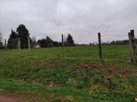 Only 5 km from the centre of Piégut-Pluviers, a historic village with all amenities, this plot of land of over 1ha is slightly elevated from the road and is accessible by two roads. The water and electricity networks are on both sides of the plot. Th...