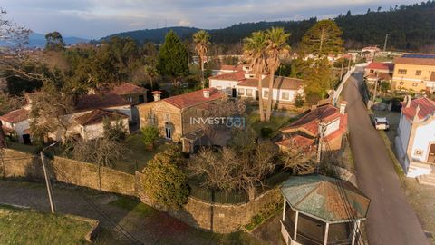 It is with great pleasure that we present Quinta Magnifica in Caminha, a unique property with an area of 10,000m2, consisting of two independent single-storey houses and three more buildings to rehabilitate. This property is distinguished by its harm...